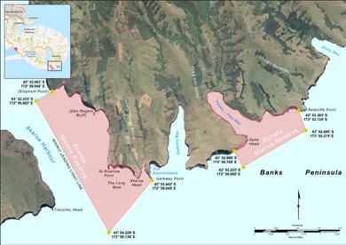 akaroa-and-pohatu-marine-reserves-390 (1)